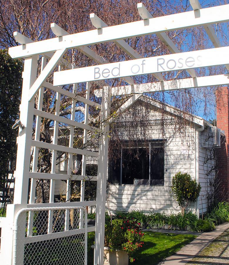 Villa Bed Of Roses Apollo Bay Exterior foto